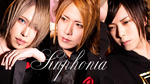 「STARDAM GROUP」の新店「Sinphonia」が初グラビア!!