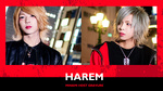 今回は今「HAREM」一押しのイケメンホストが登場!!